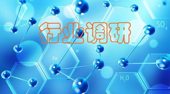 新材料 聚焦“小而精”，調(diào)研洞察化工原料需求，網(wǎng)絡(luò)技術(shù)研究賦能產(chǎn)業(yè)創(chuàng)新